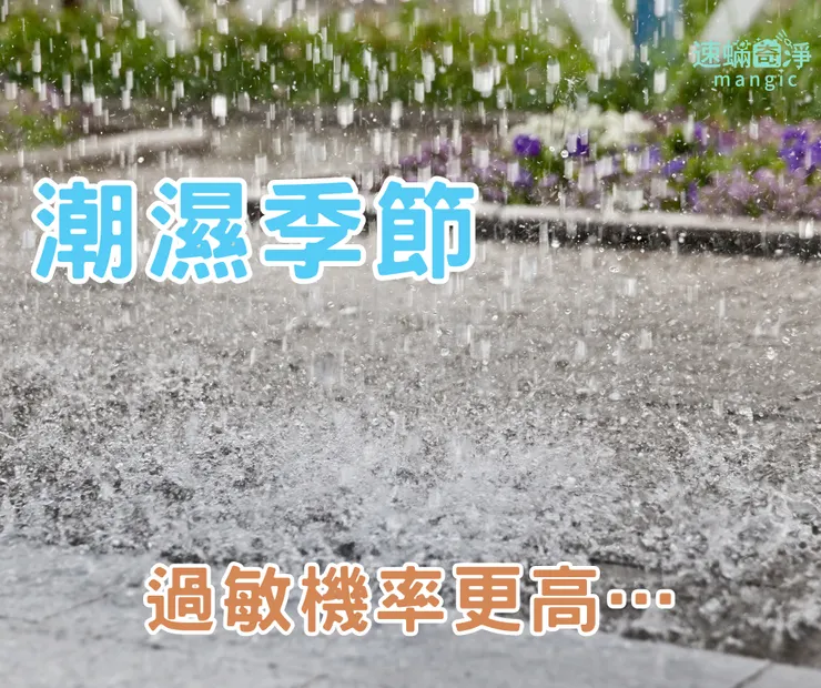 新北除螨推薦.新北除塵螨.台北除螨推薦.台北除塵螨