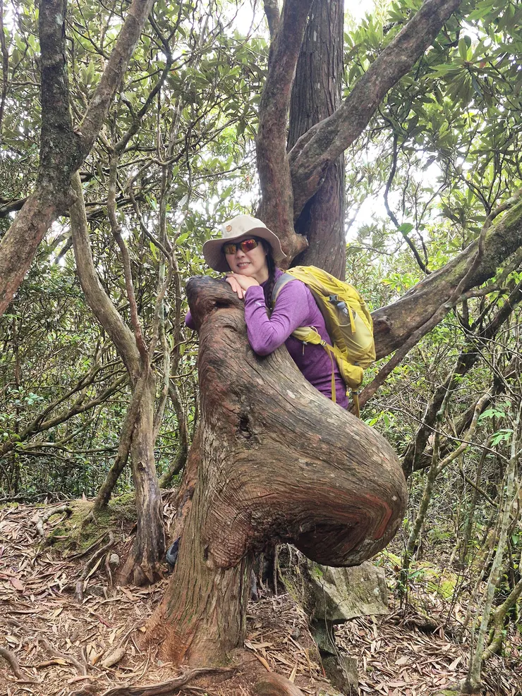 橫嶺山的地標小海獅