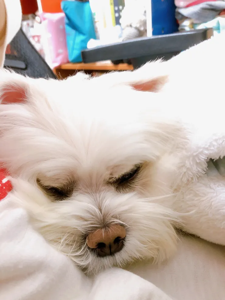 跟我一起坐在椅子上陪我