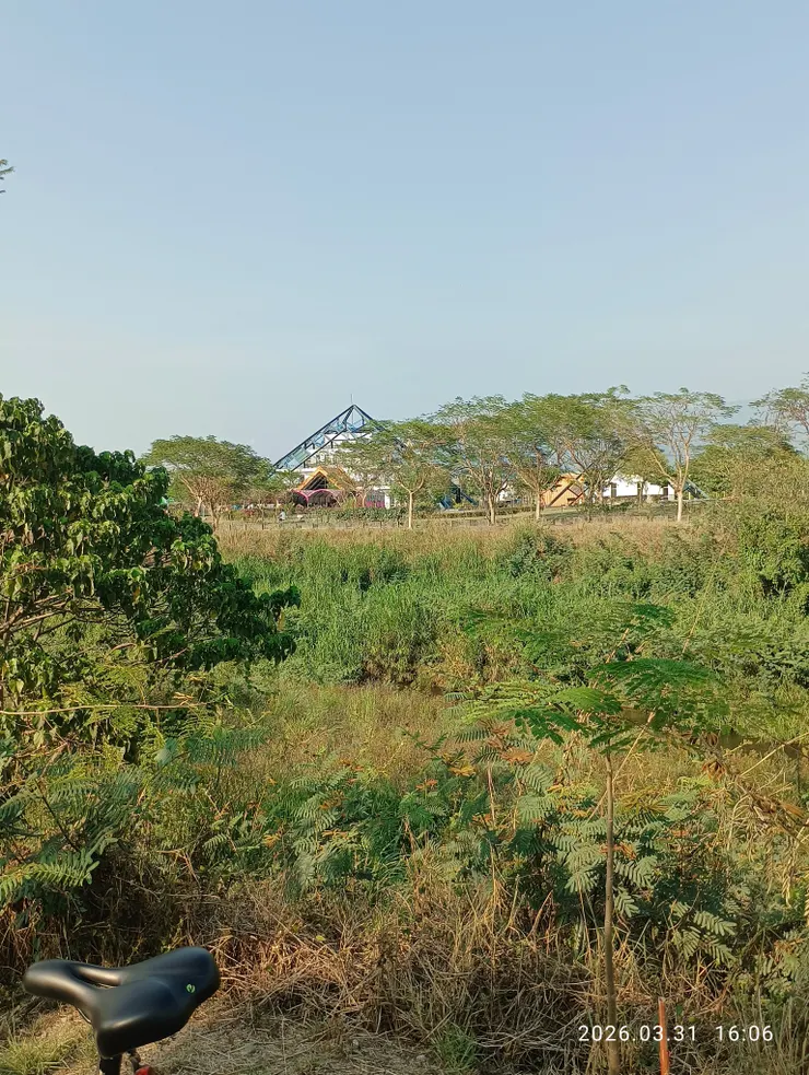 清麗精神付風流，皆自拍攝