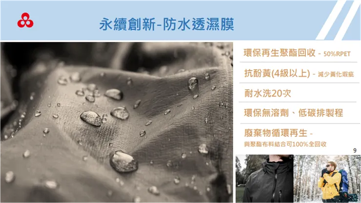 資料來源：公司法說