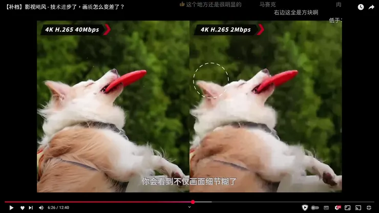 我想這是個明眼人都看得出來吧，碼率不夠你先進壓縮還是改變不了細節