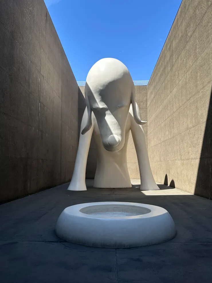 我的最愛——青森犬。就是為了他而來。很想摸摸他的頭，跟他說：乖，我們都別哭了