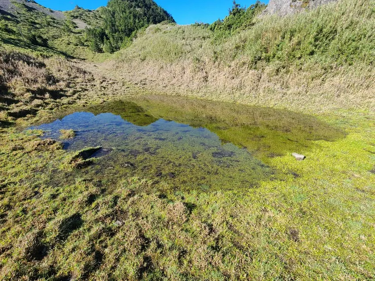 附近往前還有一池