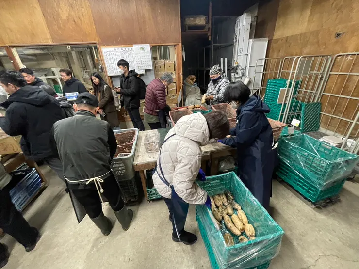 蓮藕在此進行選果與包裝作業