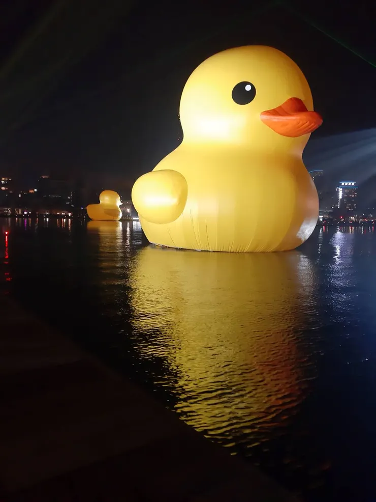 鳥好大，別想歪……