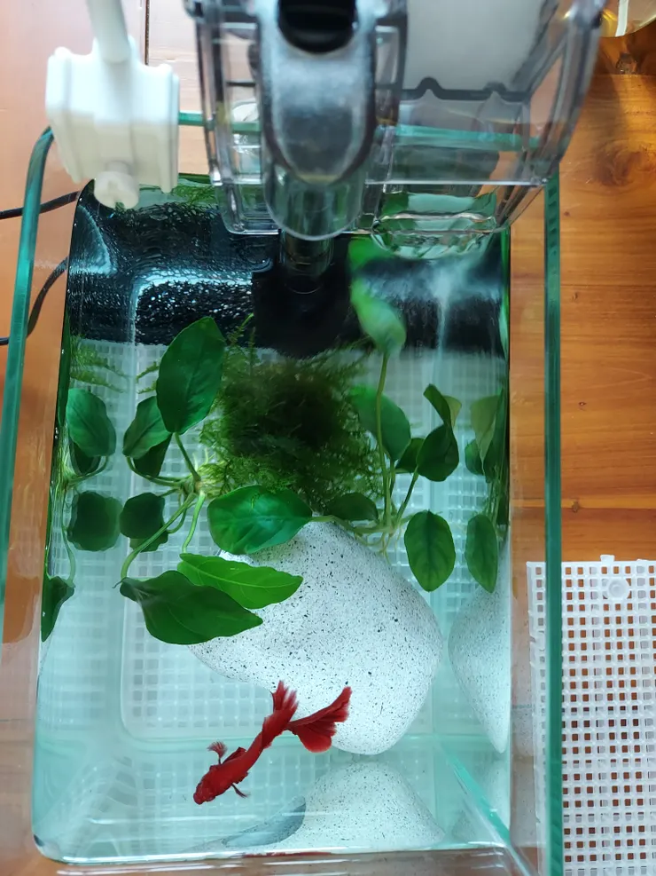 這是我的舊家ㄡ🤩