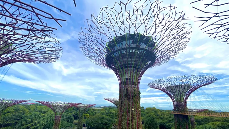 我一直覺得擎天樹很像薩爾達曠野之息裡的大蘑菇場景