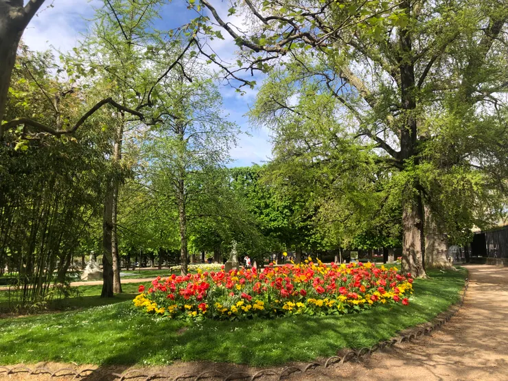 （王安琪提供）