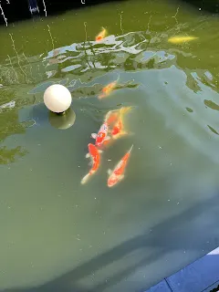 可以試著去思考主力到底在想什麼，雖然被叫做主力的可能有很多個，是一個集合體，就像被做作外資的也不只是一個投資機構而已，因此才會有那種難以捉摸的感覺，無法明確分析出一個操作的軌跡。一般散戶只能從大部分主力都在買這個現象，來確認這可能是主力們的暫時共識，而有一定的參考價值。