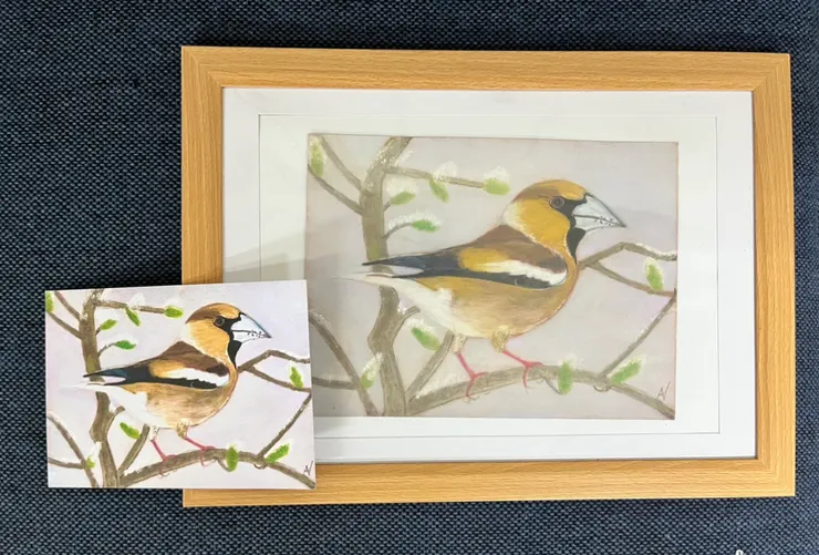 我曾經跟她提議過開個小畫展，但她說不太可能，因為她都把畫送出去了。