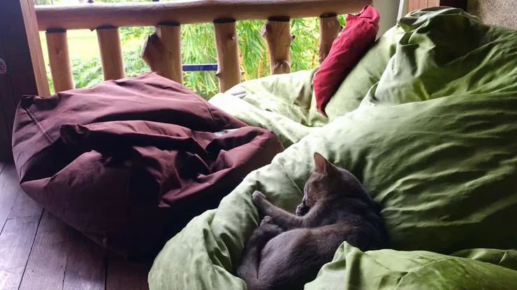 工作區的耍費小空間 feat. 耍廢小貓