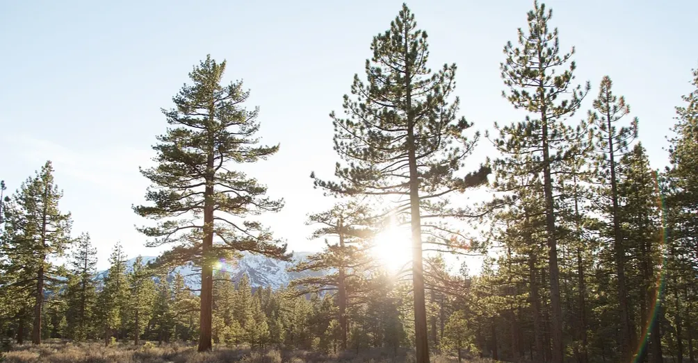 Brook跨領域轉職｜30+轉職諮詢