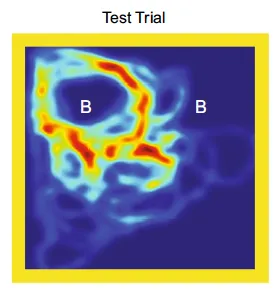 電腦紀錄斑馬魚游泳的路徑，顏色越紅代表斑馬魚越常經過，越藍越沒走過。左上角是新放進魚缸的腳踏車騎士樂高，雖然長得跟右邊一樣，斑馬魚還是花了很多時間在探索新朋友