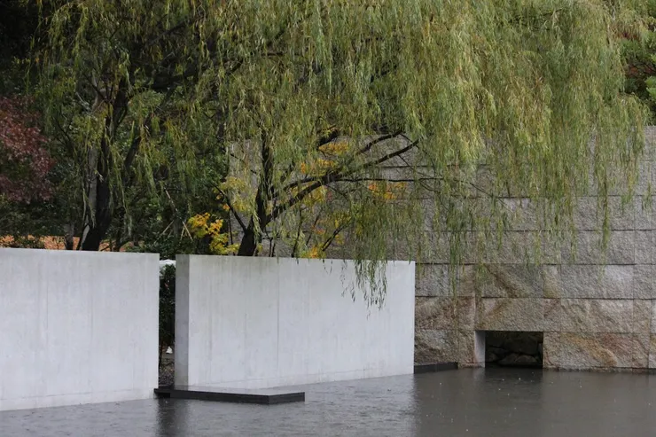 柳樹低垂如簾，微雨中的空氣氤氳出建築與自然柔和交會的氣息