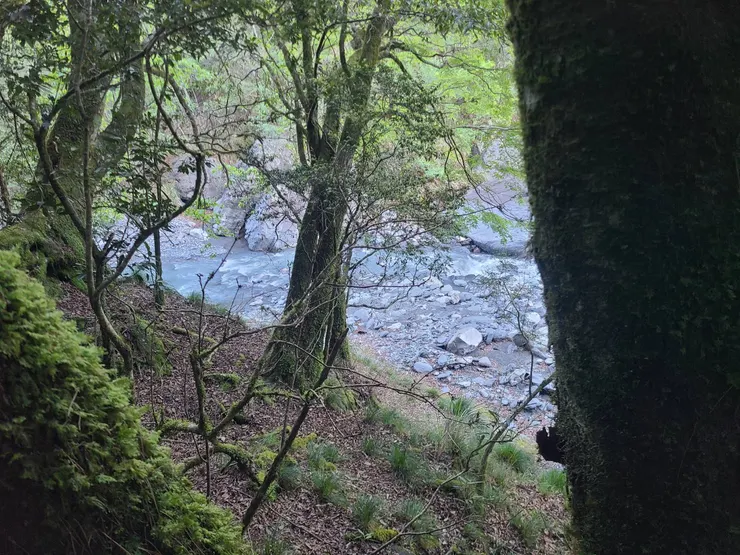 塔次基里溪,就在底下