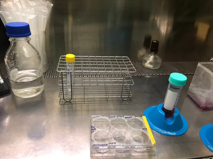 生活碎片也包含做實驗