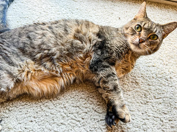 2023/05 第一次和情勒仔見面