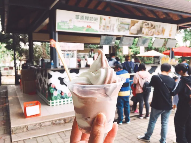 鮮奶霜淇淋真的超好吃!