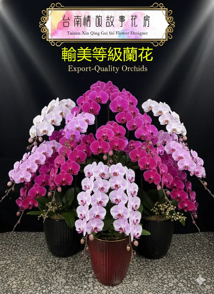 不是一般蘭花！台南少數使用出口等級蘭花的推薦花店｜心情故事花房