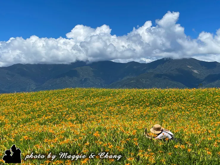 走進花田，仍能感受到滿山橘黃色的活力。陽光下，隨手一拍都能留下鮮明的回憶。