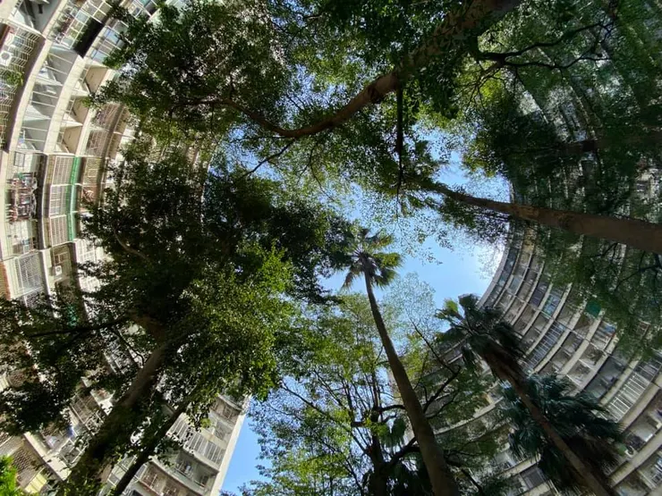 往上仰望這國宅群，不同視野看到另一種美感