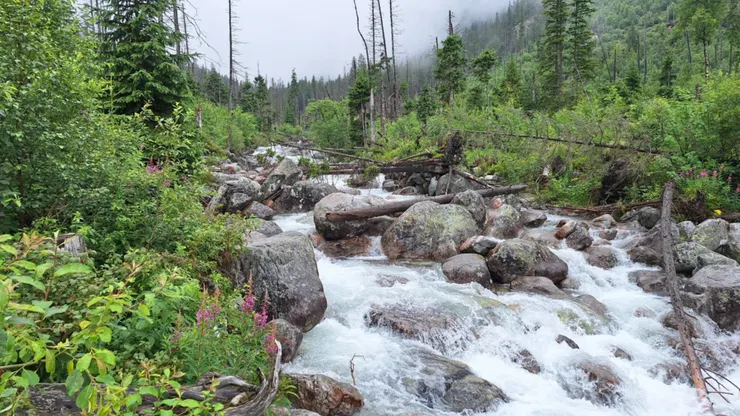 回程都是沿著這條溪
