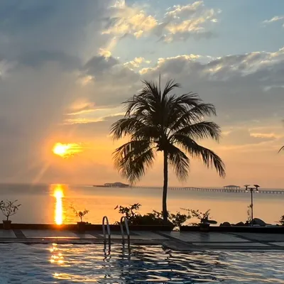 強尼醉步 tipsy Johnnie的沙龍