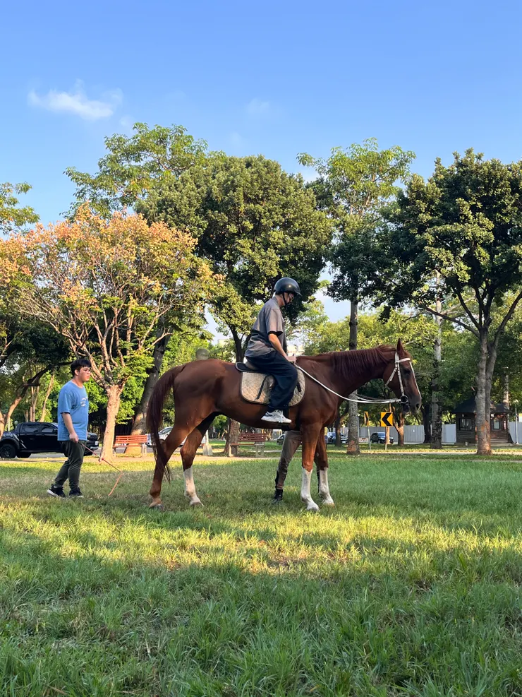 我的騎馬初體驗