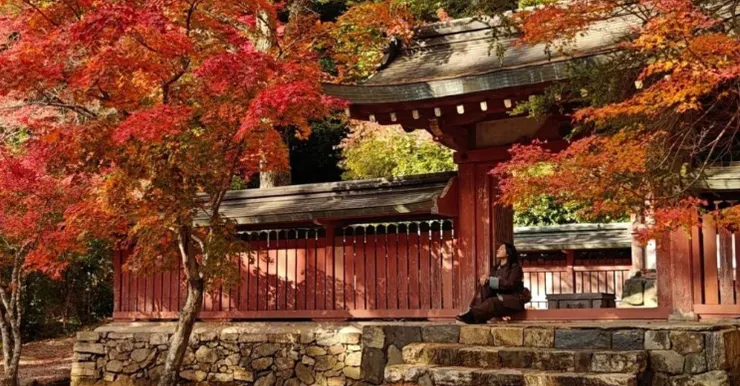 京都神護寺秋季楓紅與山門靜景
