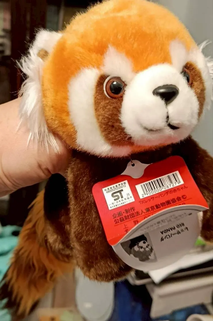 大大的眼睛，長長的尾巴