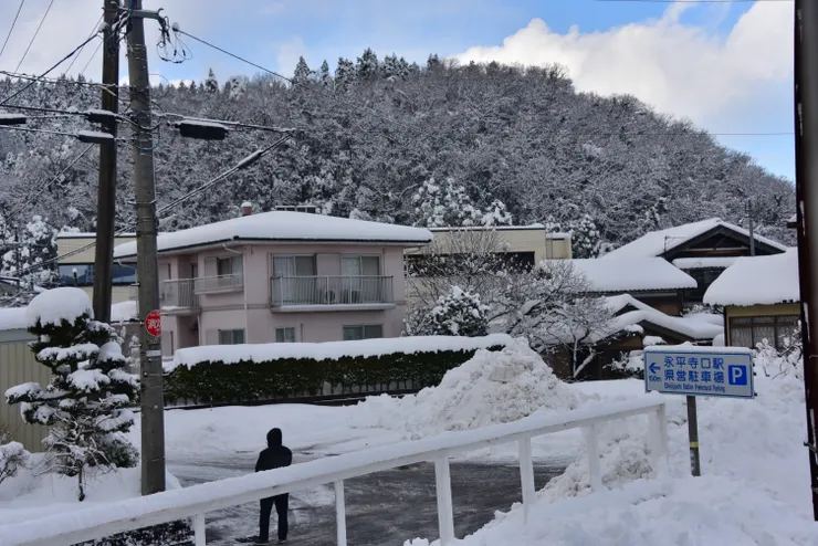 四處可見成堆產起來的雪