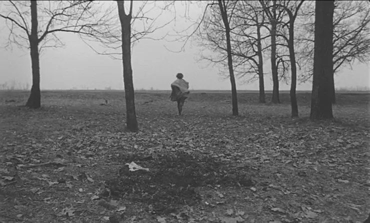 14.《撒旦的探戈》（Sátántangó，1994）🇭🇺／🇩🇪／🇨🇭