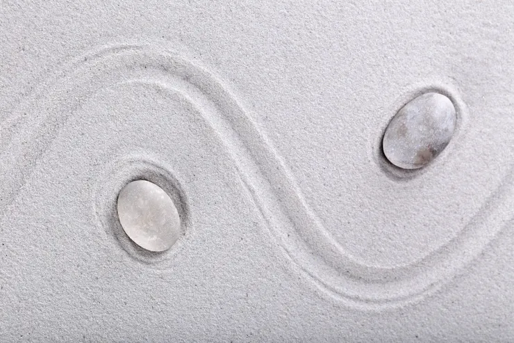 靈魂催化劑就像是一個疑似的太極圖，卻無法轉動。