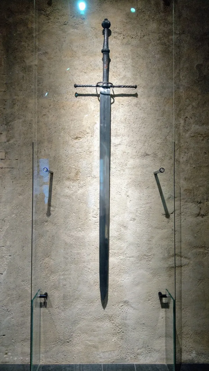 這尺度是...烙印勇士的劍（？