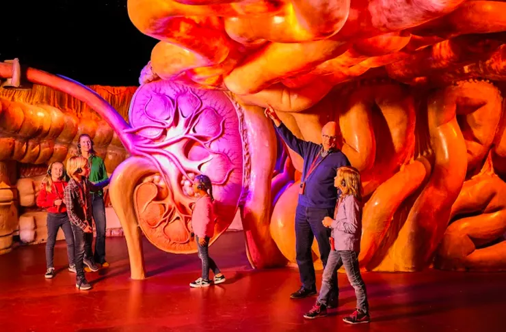 圖片來源：CORPUS Experience