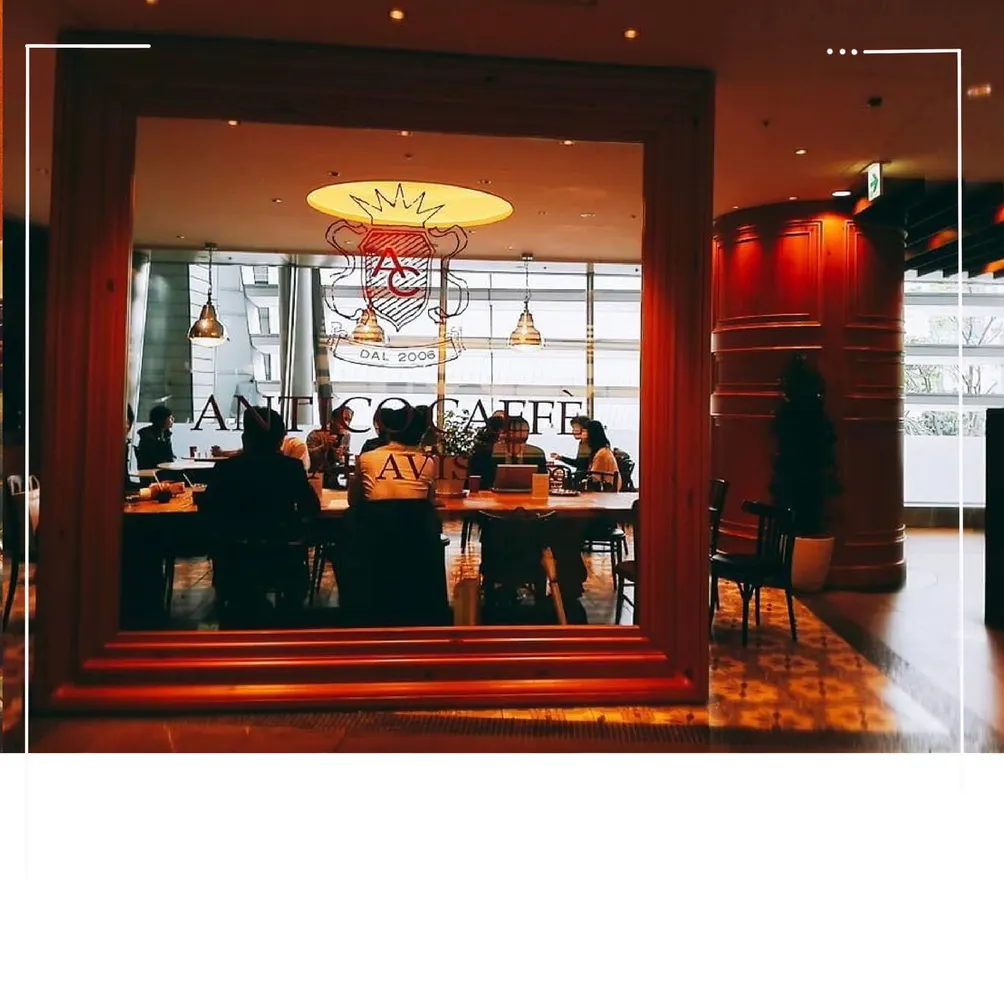 在世界裡浪一回