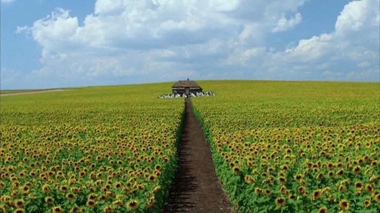 一切的答案就在這個向日葵田裡的小屋當中