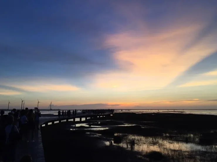 高美濕地夕陽