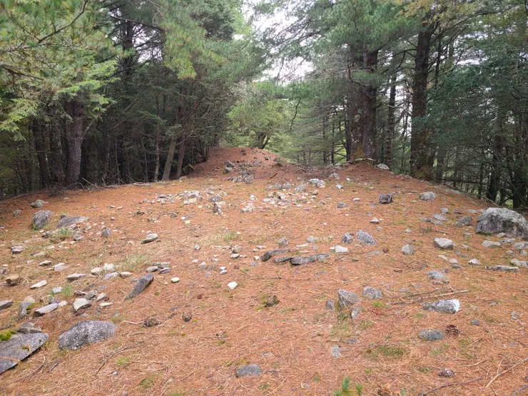 只有一小段開闊稜線而已，接著就是腰繞障礙路鄰近道路