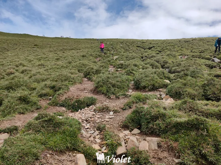 嘉明湖畔旁回望上方大草原