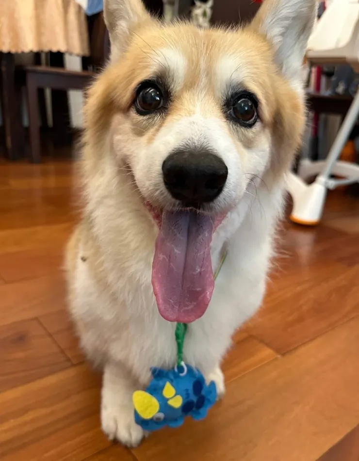 馬丁:我是小小發光的鑽石(馬丁媽咪提供)