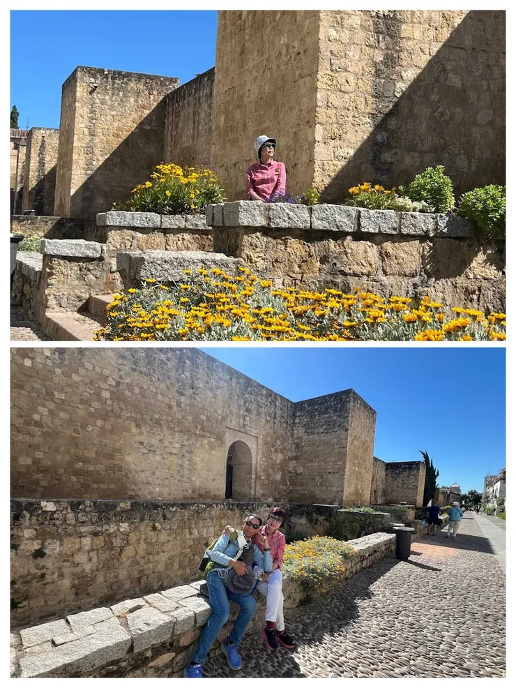 Cairuán街花團錦簇生意盎然