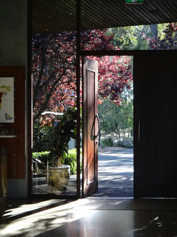 照片由Hailey Tong在Unsplash 拍攝