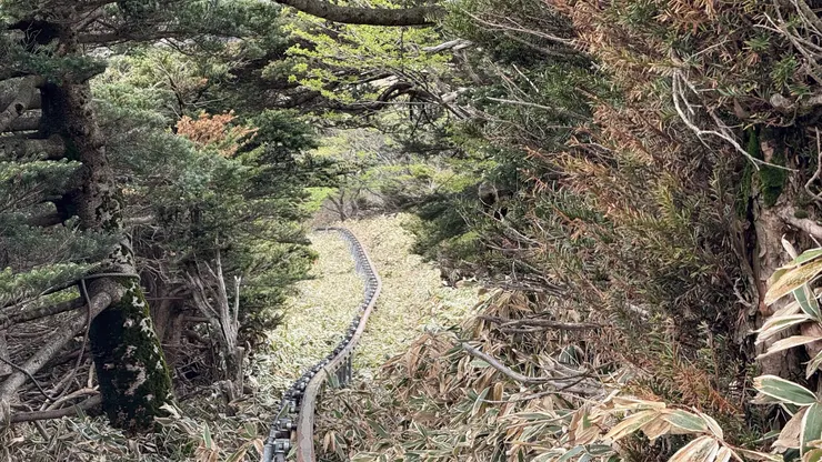 運輸貨物單軌車的軌道
