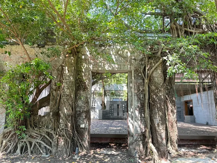 被滿滿榕樹根包圍的老屋殘垣，充滿了廢墟之美