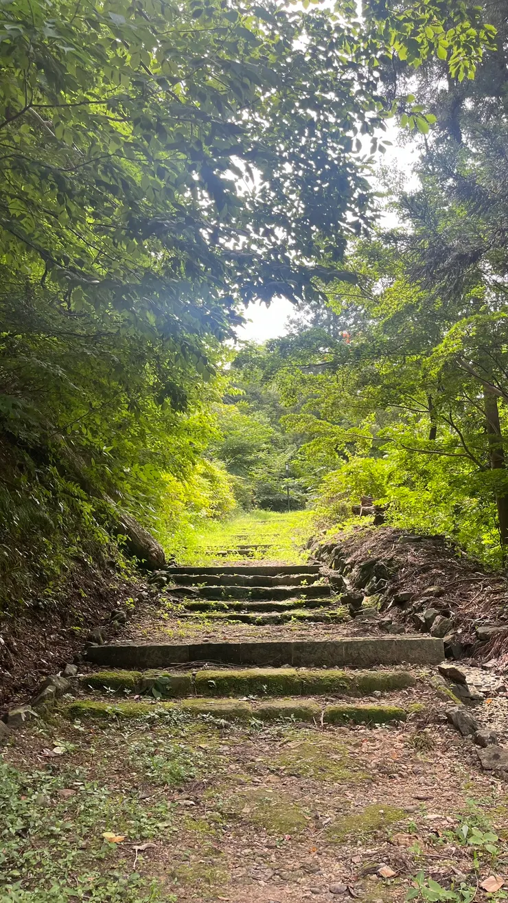 根本就是郊區的健行路線。