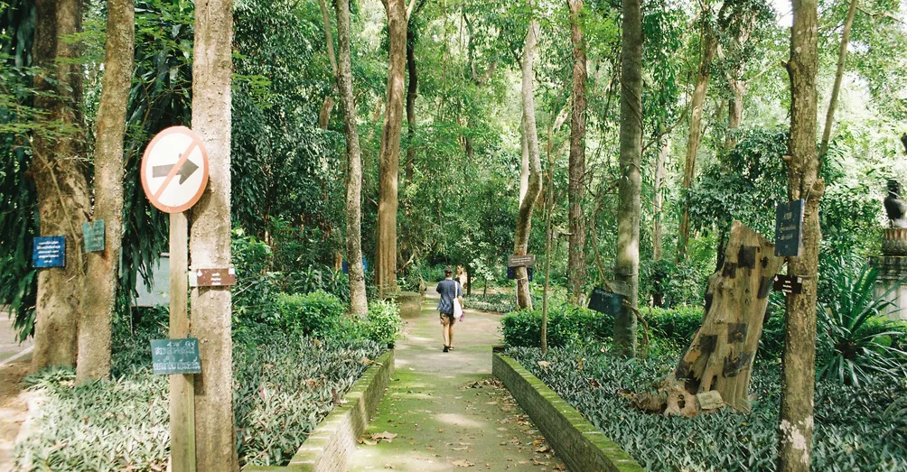 Yo's Random Journal 隨跡日記