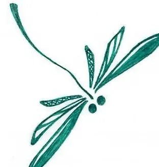 我和我的城市獨行