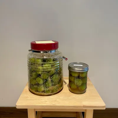 清明時節季節限定的梅酒，你釀起來了嗎?😸